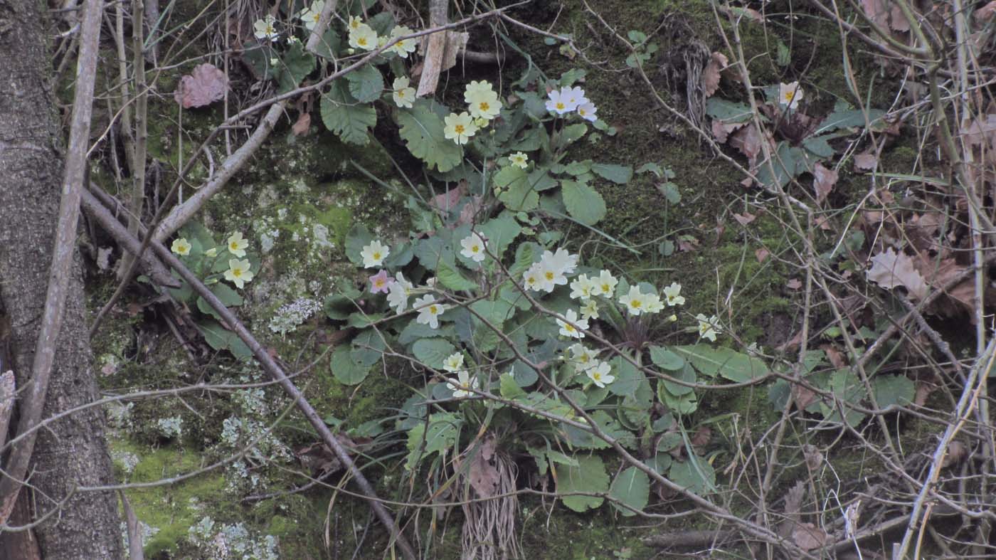 1_81_.JPG (1400×787)