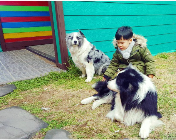 his Nephew was taking care of uncle dogs - 2017.02.25