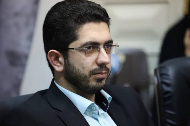 تلاش سازمان سیما، منظر و فضای سبز شهری شهرداری رشت در حفظ درختان شهری 1