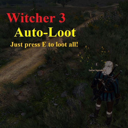ماد لوت اتوماتیک در Witcher 3