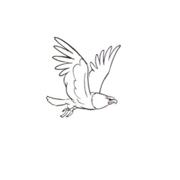 [تصویر:  flyingbird.gif]