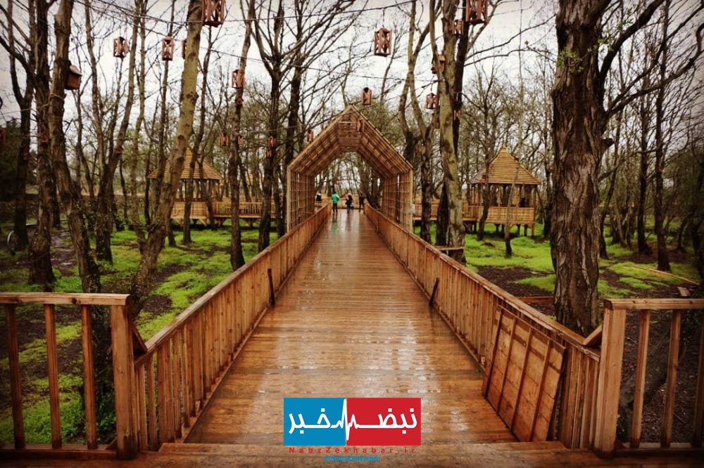 پارک جنگلی 3 هکتاری در لنگرود که بدون سرویس بهداشتی افتتاح شد! 1