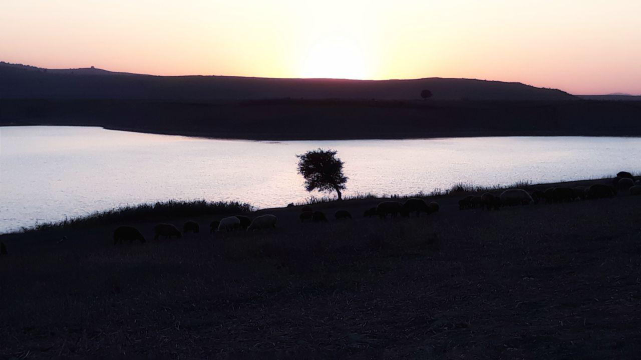 کالپوش