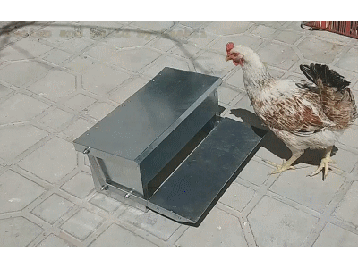 دستگاه دانه خوری اتوماتیک مرغ خانگی
