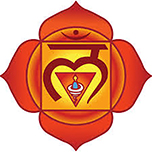 سمیل چاکرای اول ، مولادهارا یا چاکرای ریشه