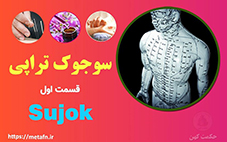 طب سوجوک - سوجوک تراپی یا سوجوک درمانی ، طب مکمل ، طب جایگزین