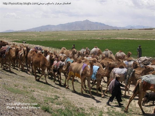 عکس های میمنه افغانستان