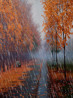 تصاویر متحرک از باران پاییزی