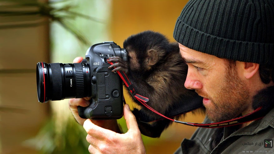 تصاویر جالب و دیدنی از حیوانات عکاس 