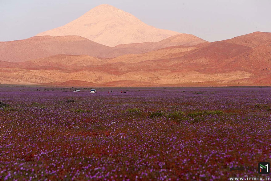 تصاویر جالب و دیدنی از کویر آتاکاما در شیلی